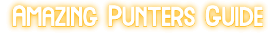 Amazing Punters Guide